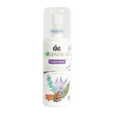 ESSENTIEL'10 PURIFIANT KING 100 CC