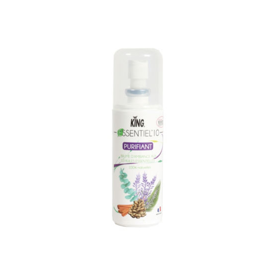 ESSENTIEL'10 PURIFIANT KING 100 CC